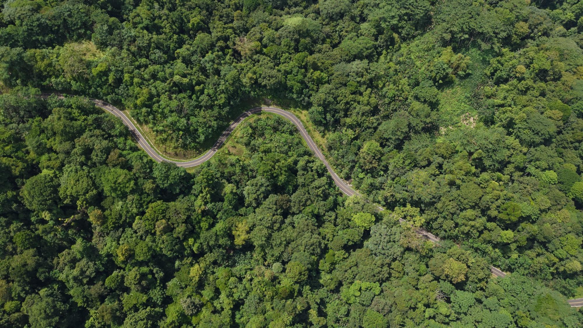 Terreno en venta en Bocas del Toro