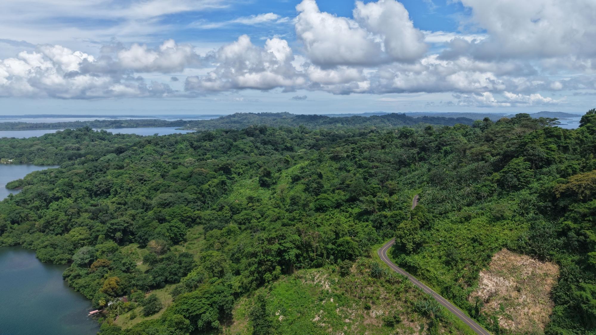 Terreno en venta en Bocas del Toro
