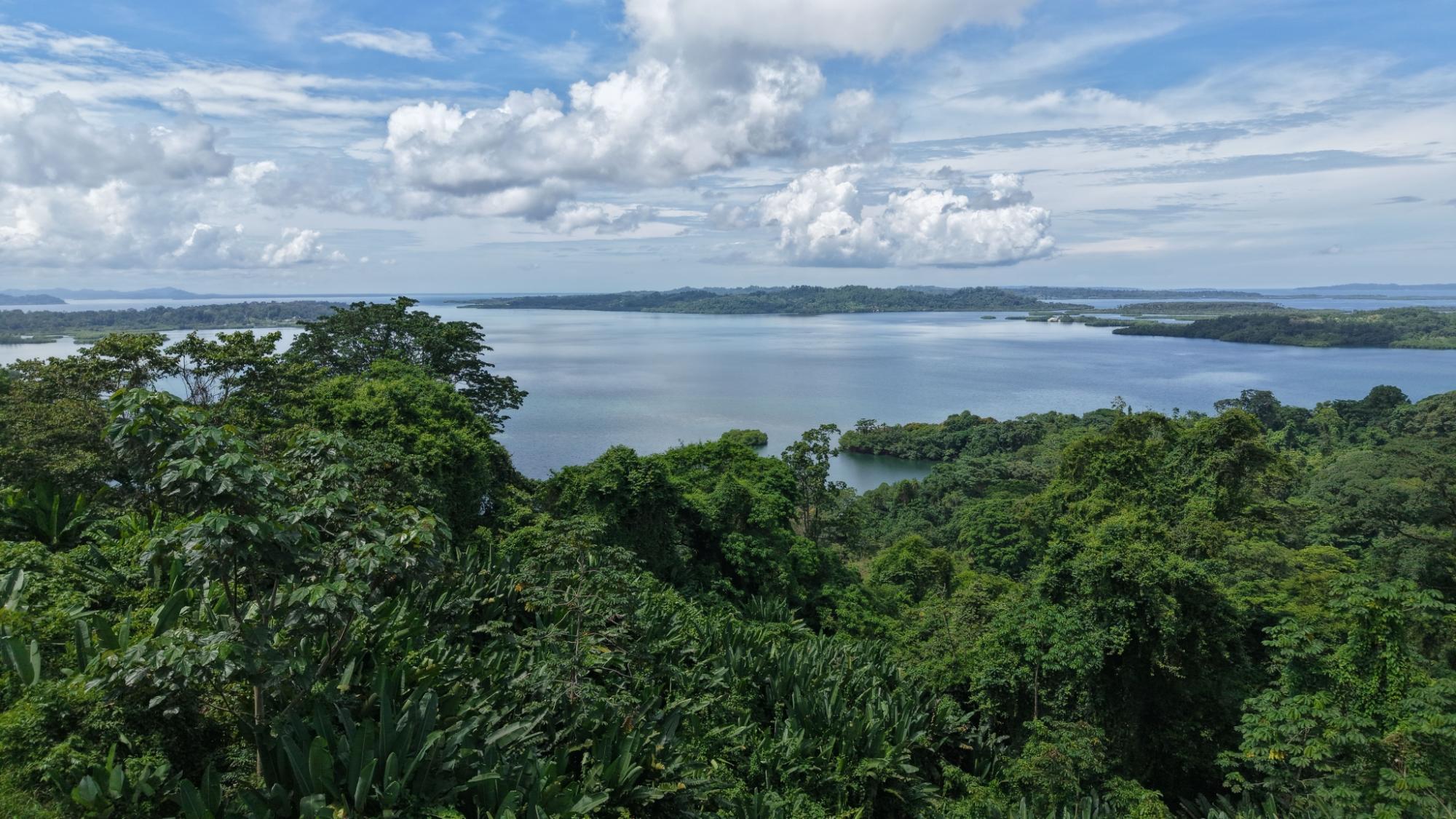 Terreno en venta en Bocas del Toro