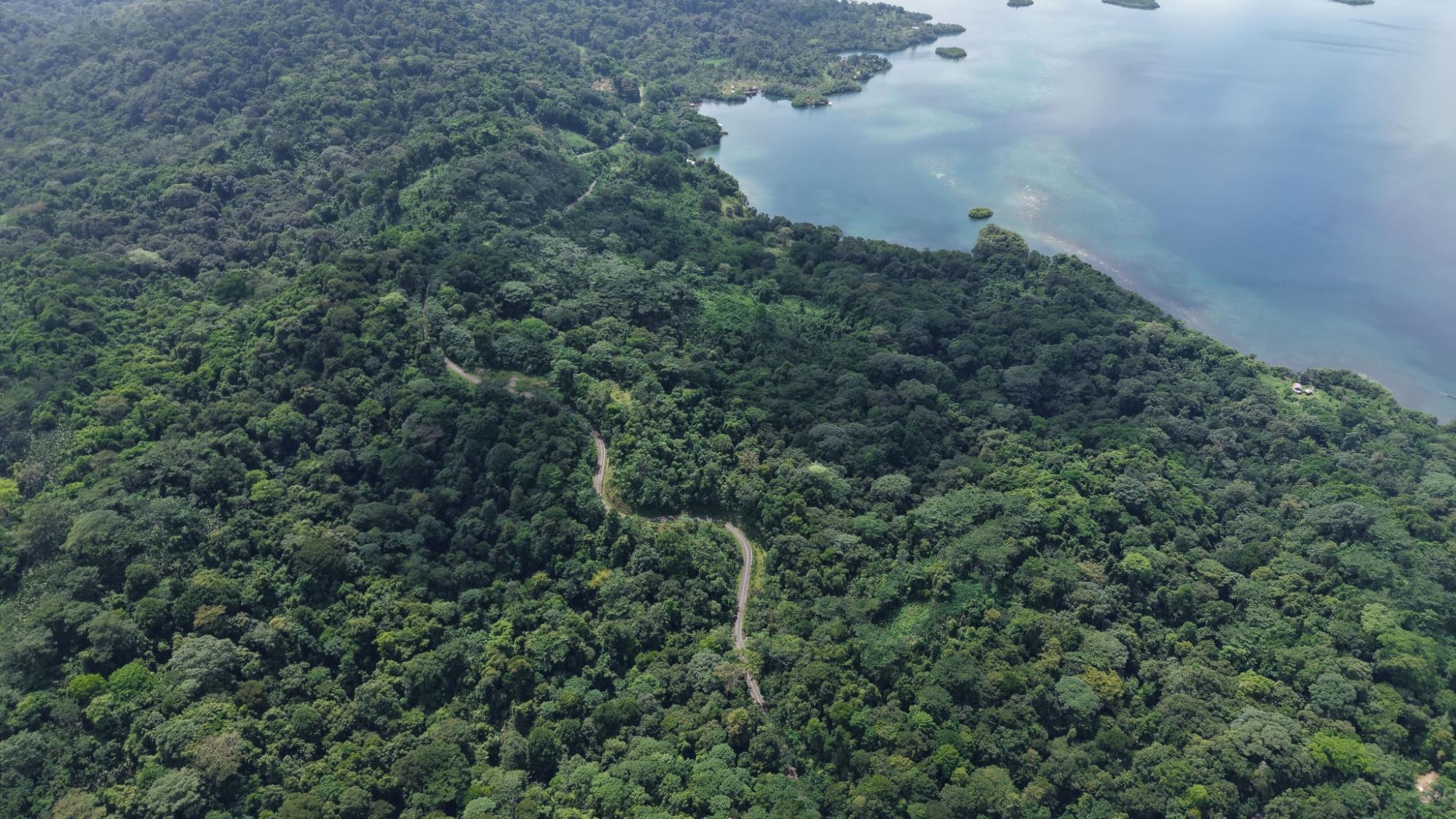 Terreno en venta en Bocas del Toro
